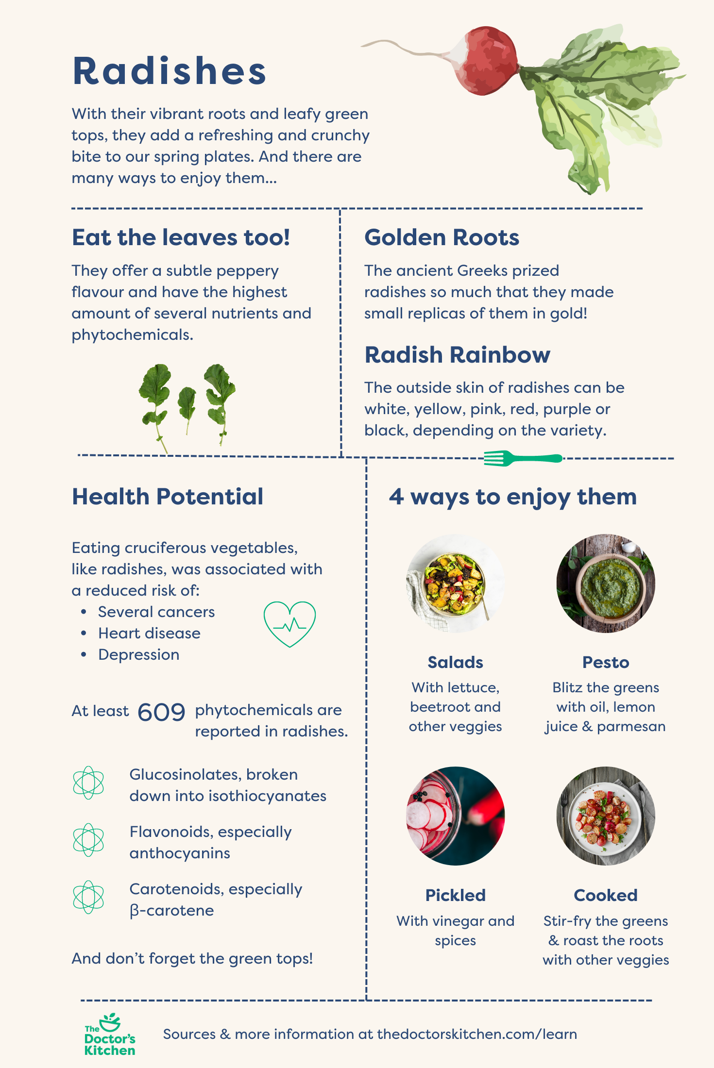Radishes Health Benefits And Versatility The Doctors Kitchen